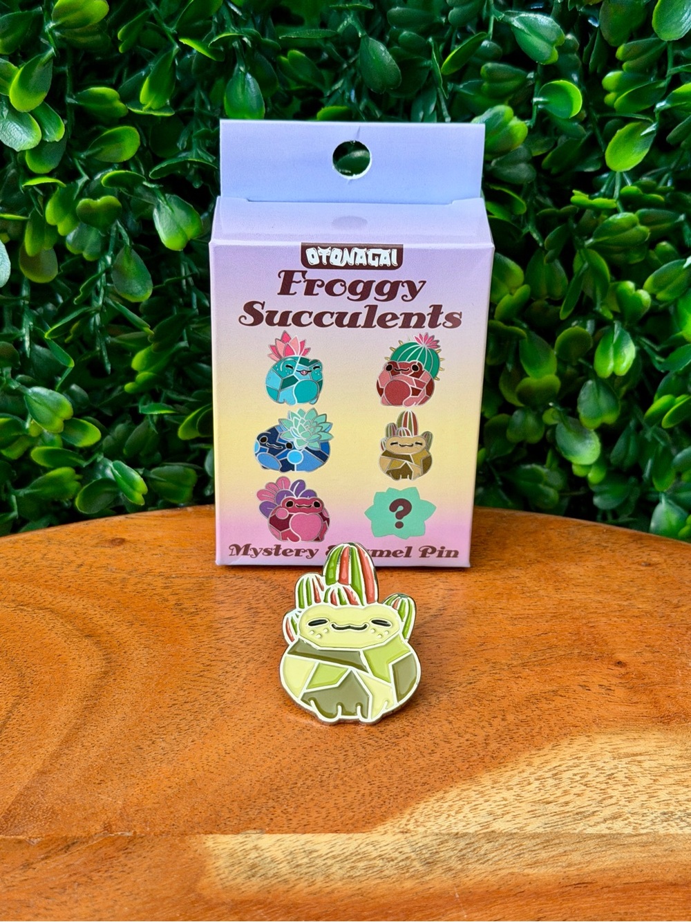 Otonagai Froggy Succulents Blind Box Pin
